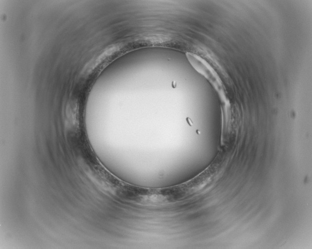 X0000087750212200705211045