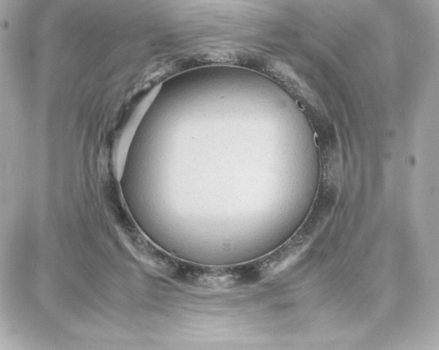 X0000087750213200705211045