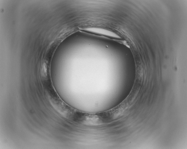 X0000087750214200705211045