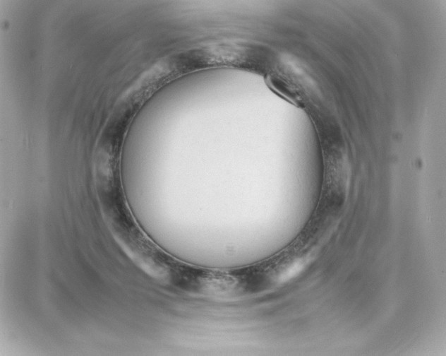 X0000087750215200705211045