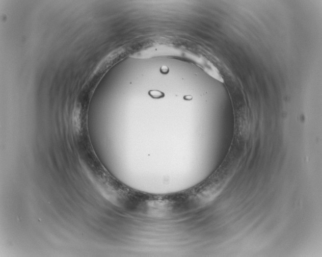 X0000087750216200705211045