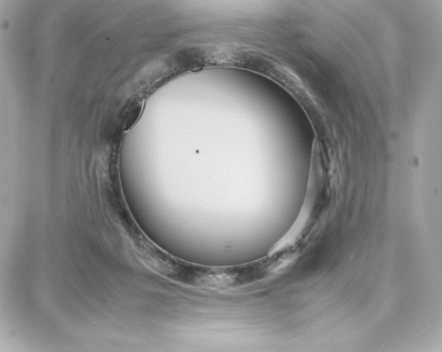 X0000087750217200705211045