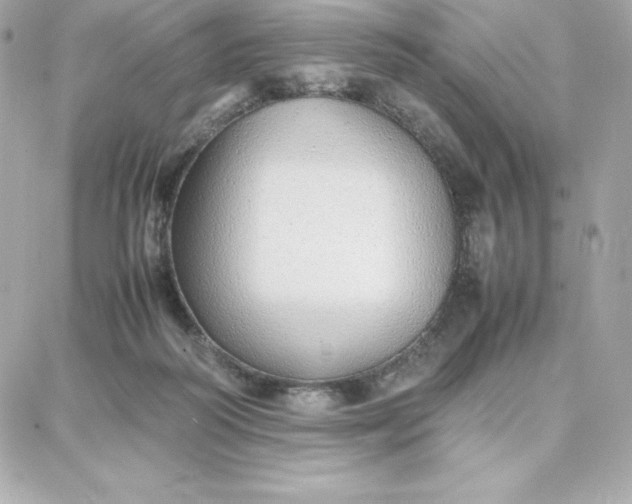 X0000087750218200705211045