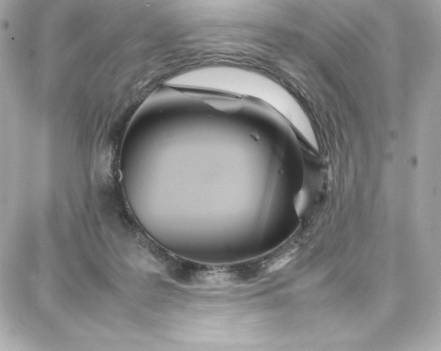 X0000087750219200705211045