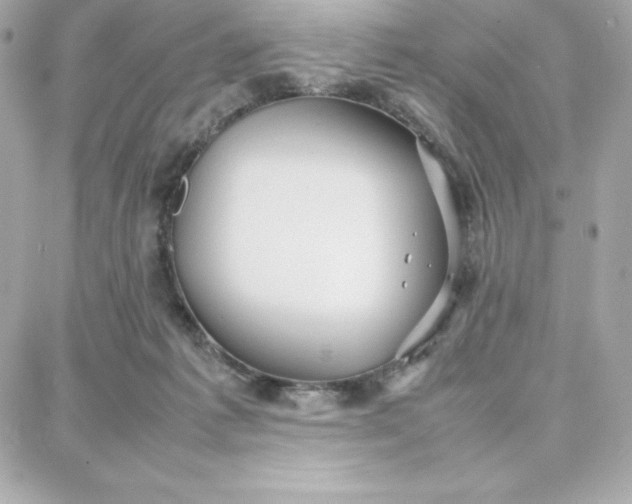 X0000087750221200705211045