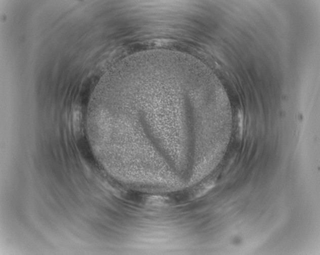 X0000087750222200705211045