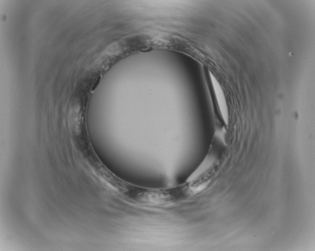 X0000087750223200705211045