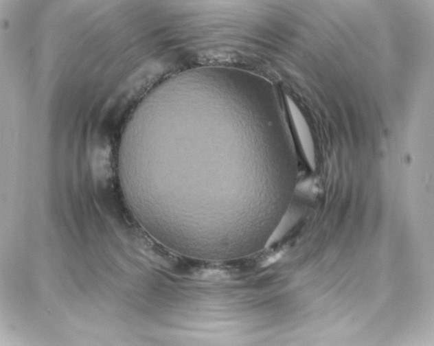 X0000087750224200705211045