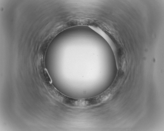 X0000087750225200705211045