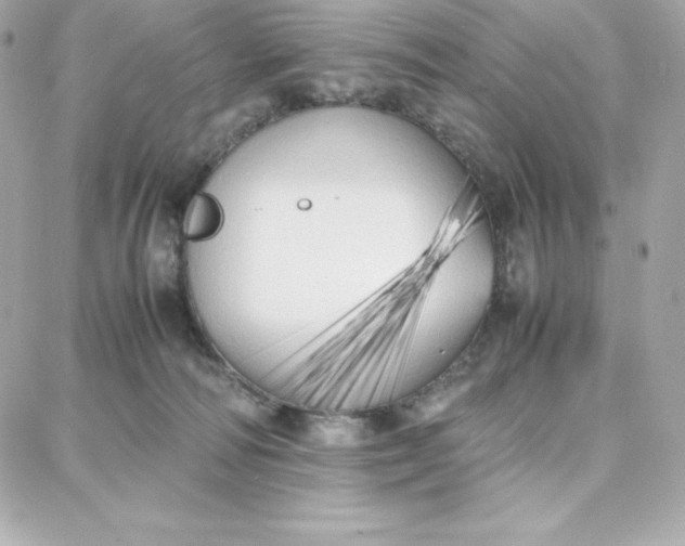 X0000087750226200705211045