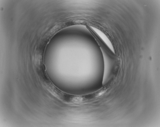 X0000087750227200705211045