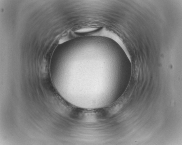 X0000087750228200705211045