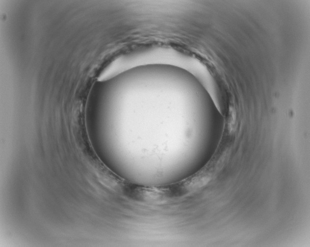 X0000087750229200705211045