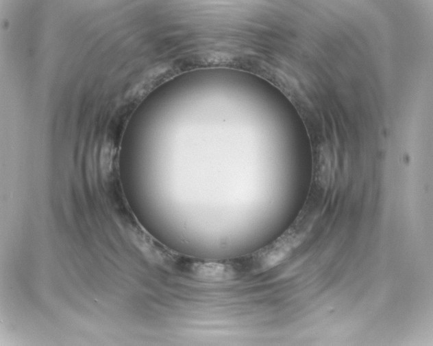 X0000087750230200705211045