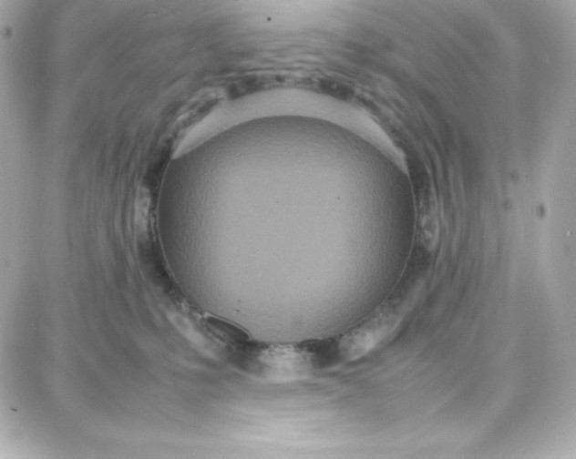 X0000087750231200705211045