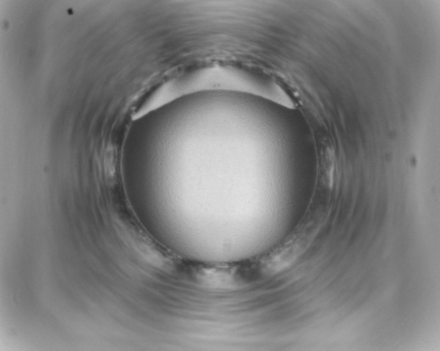 X0000087750232200705211045