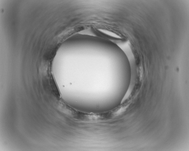 X0000087750233200705211045