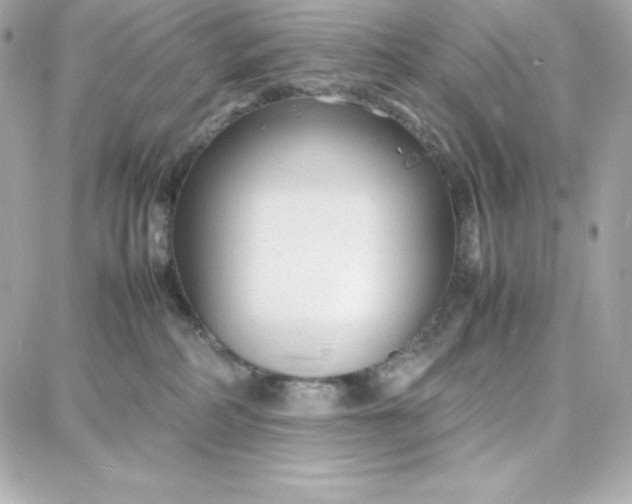 X0000087750234200705211045