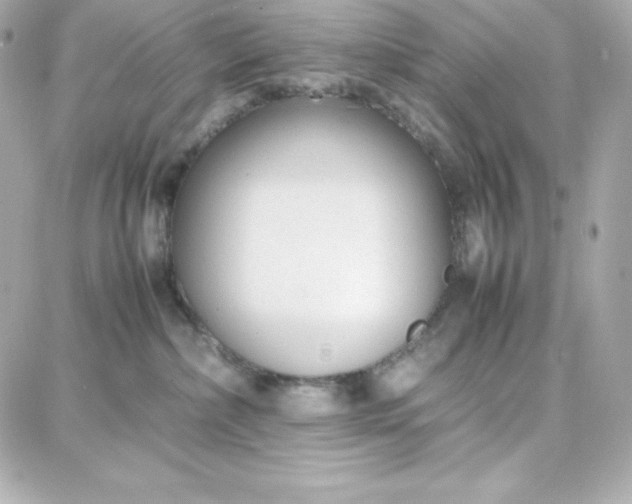 X0000087750236200705211045