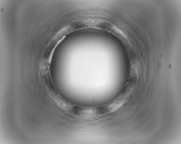 X0000087750237200705211045