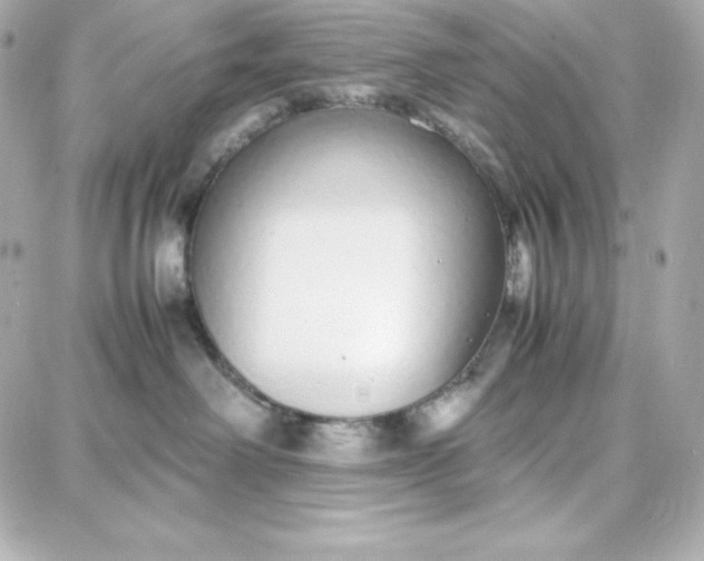 X0000087750238200705211045