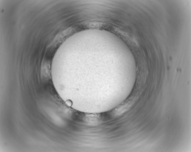 X0000087750240200705211045