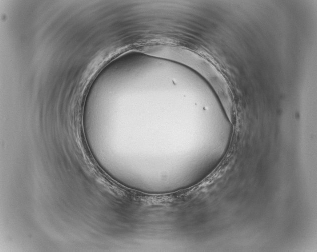 X0000087750241200705211044