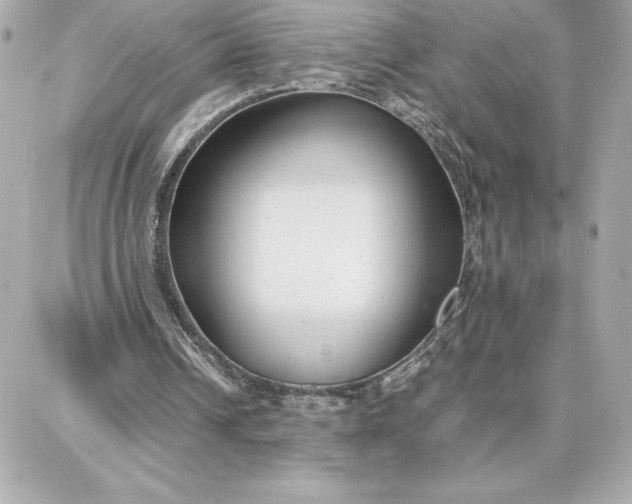 X0000087750242200705211044