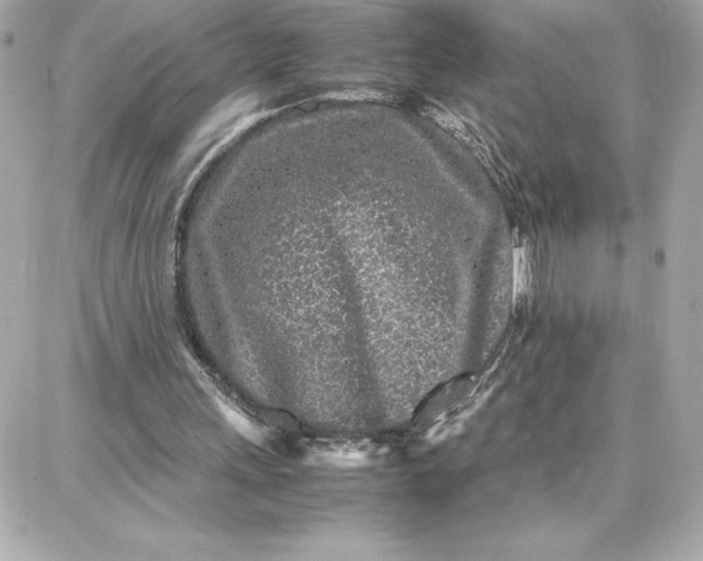 X0000087750243200705211044