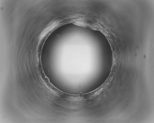 X0000087750245200705211044