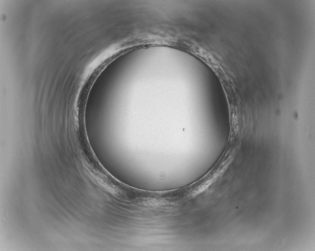 X0000087750246200705211044