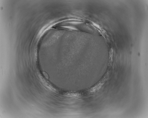 X0000087750247200705211044