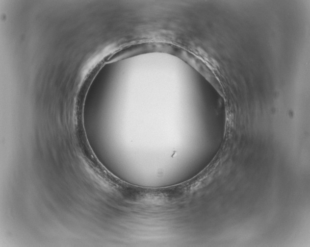 X0000087750248200705211044