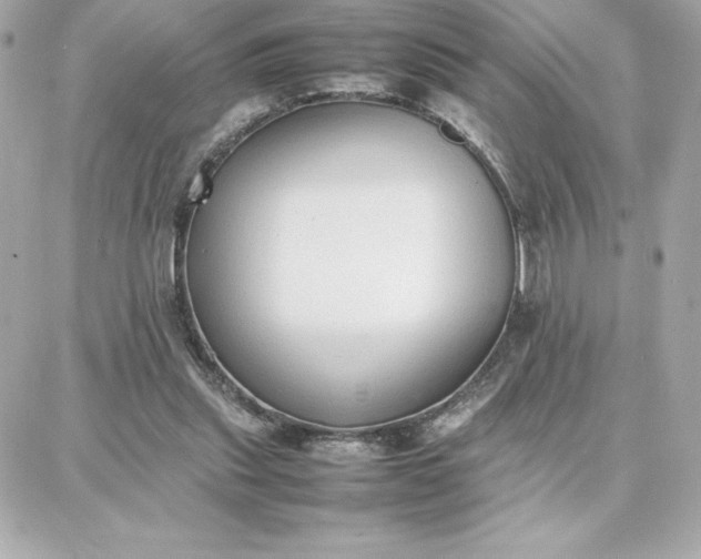 X0000087750253200705211044