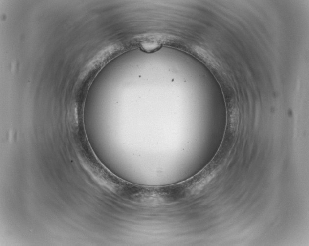 X0000087750254200705211044