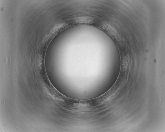 X0000087750255200705211044