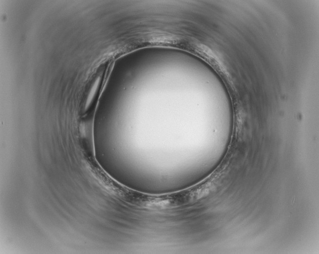 X0000087750257200705211044