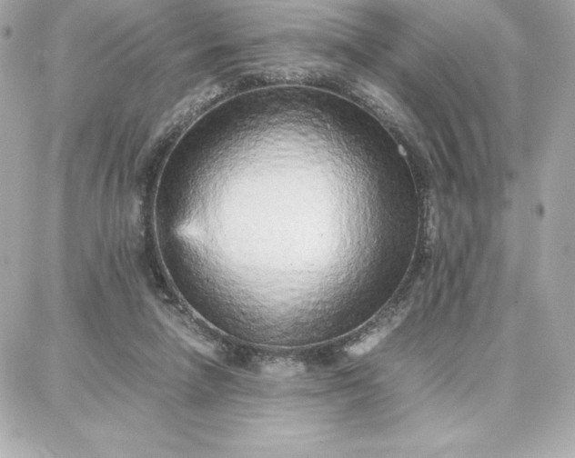 X0000087750258200705211044