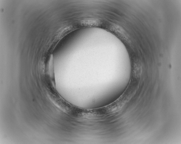 X0000087750259200705211044