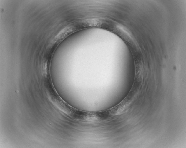 X0000087750262200705211044