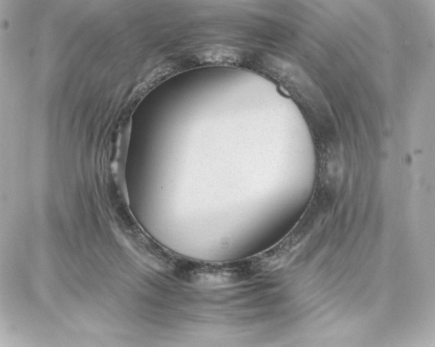 X0000087750263200705211044