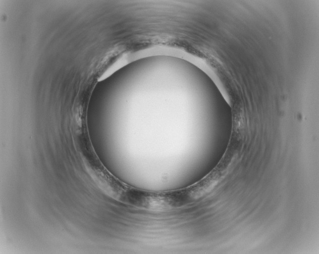 X0000087750264200705211044