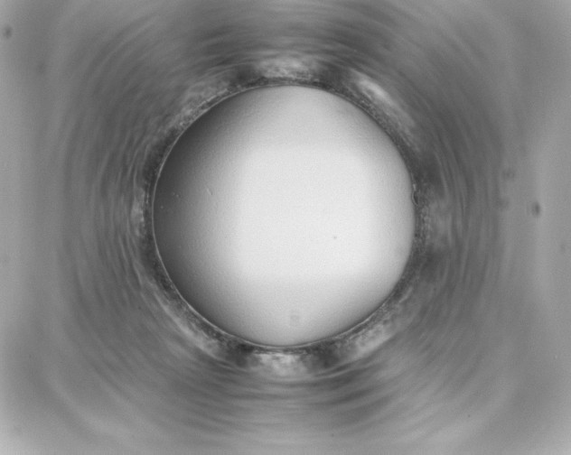 X0000087750265200705211044