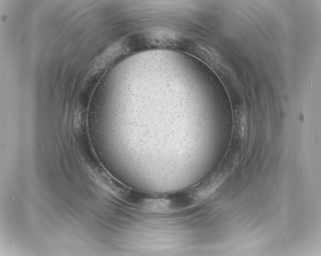 X0000087750266200705211044