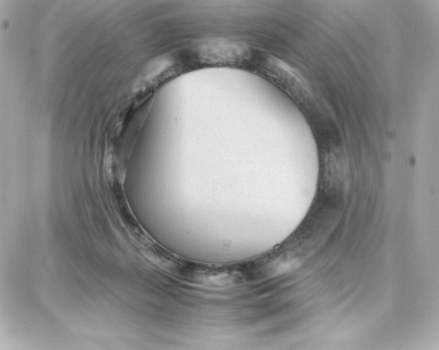 X0000087750267200705211044