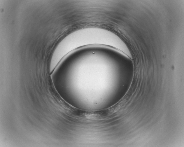 X0000087750268200705211044