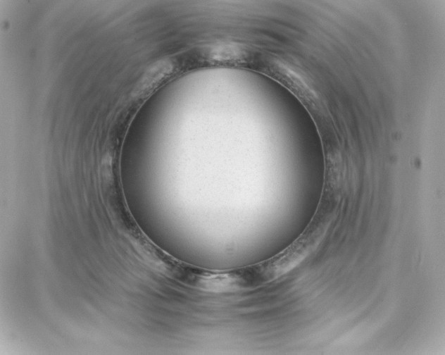 X0000087750269200705211044