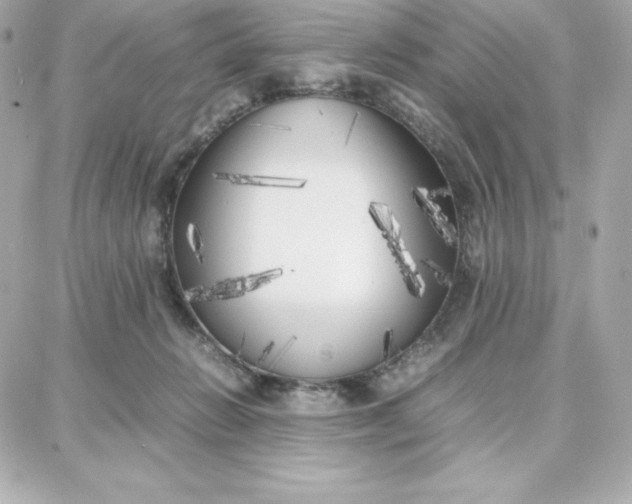 X0000087750270200705211045