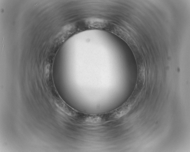 X0000087750271200705211045