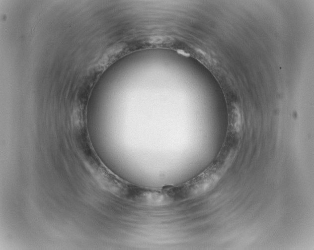 X0000087750272200705211045